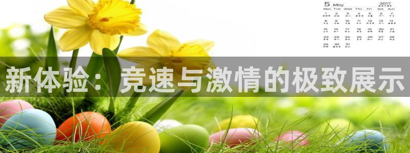 蓝鲸体育直播足球：新体验：竞速与激情的极致展示