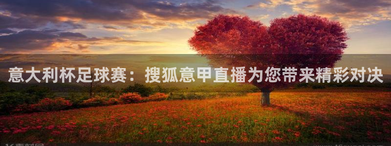 蓝鲸直播改名叫什么了：意大利杯足球赛：搜狐意甲直播为您带来精彩对决