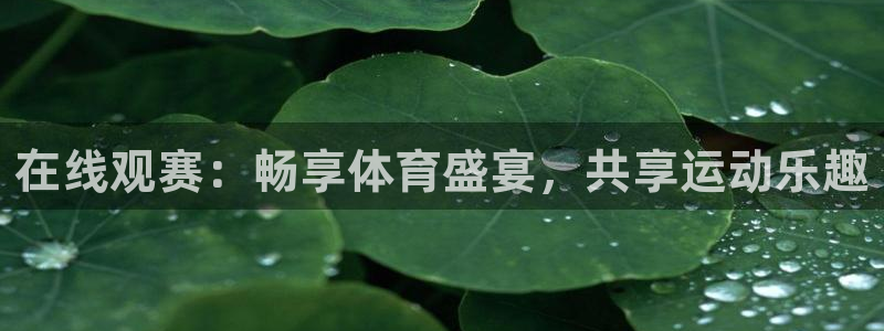 蓝鲸直播现在叫什么：在线观赛：畅享体育盛宴，共享运动乐趣