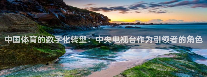 蓝鲸体育足球直播下载：中国体育的数字化转型：中央电视台作为引领者的角色
