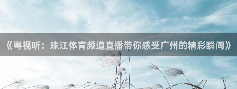 蓝鲸直播下载：《粤视听：珠江体育频道直播带你感受广州的精彩瞬间》