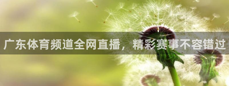 丁伟杰蓝鲸体育直播间：广东体育频道全网直播，精彩赛事不容错过