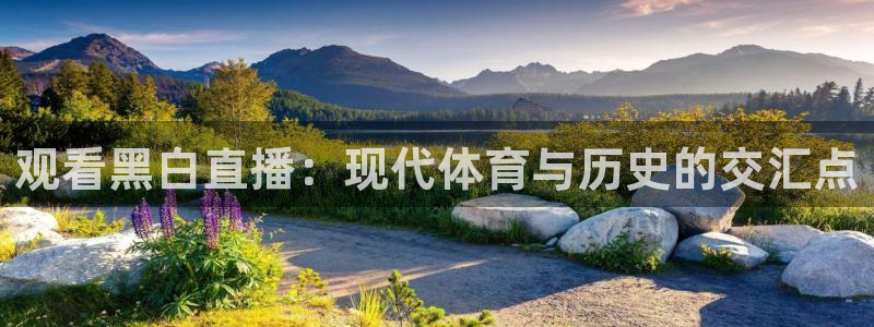 蓝鲸体育直播平台：观看黑白直播：现代体育与历史的交汇点