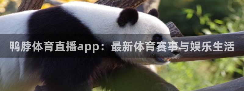 蓝鲸直播平台：鸭脖体育直播app：最新体育赛事与娱乐生活