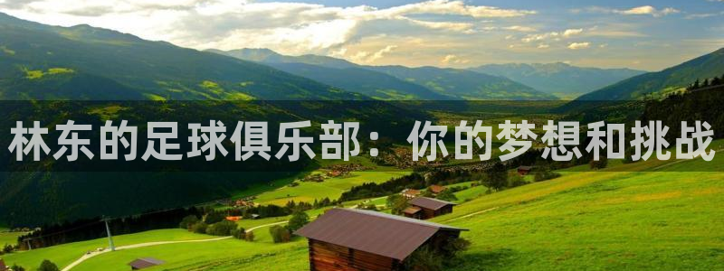 蓝鲸直播平台：林东的足球俱乐部：你的梦想和挑战