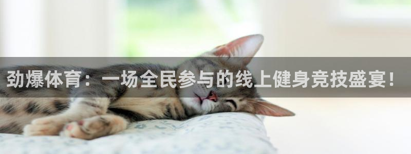 蓝鲸体育直播在线观看免费高清：劲爆体育：一场全民参与的线上健身竞技盛宴！