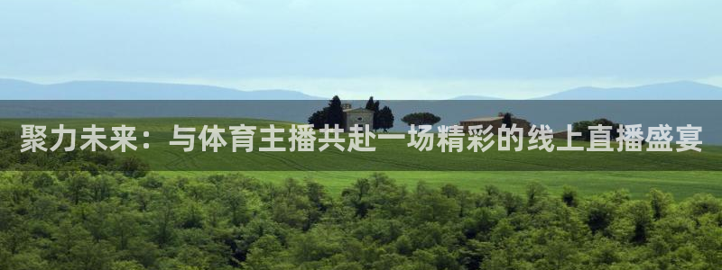蓝鲸体育直播足球：聚力未来：与体育主播共赴一场精彩的线上直播盛宴