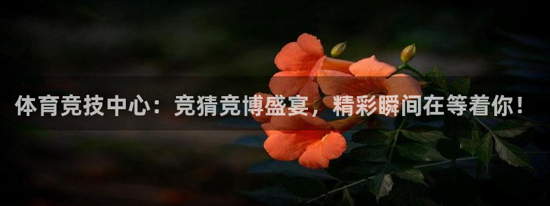 大蓝鲸：体育竞技中心：竞猜竞博盛宴，精彩瞬间在等着你！