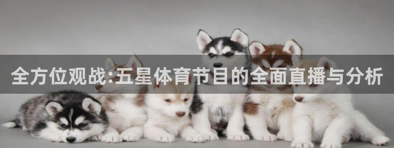 蓝鲸交警直播：全方位观战:五星体育节目的全面直播与分析